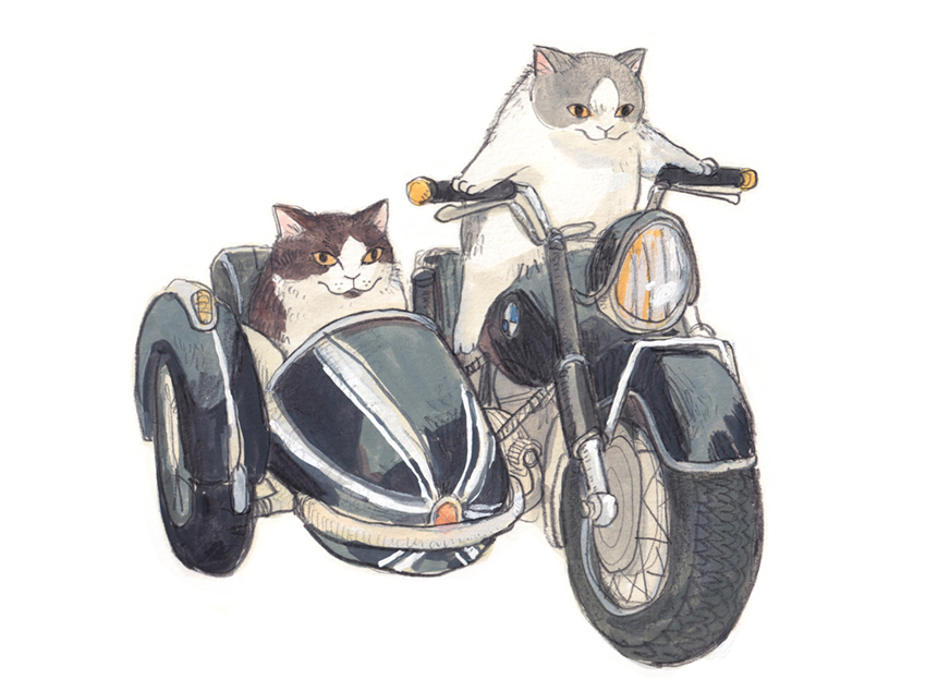 2others cat commentary dawning_crow multiple_others no_humans original riding_bicycle sidecar simple_background sketch white_background