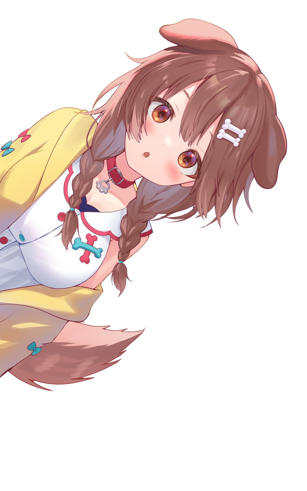 1girl animal_ears bangs blush bone_hair_ornament braid brown_eyes brown_hair collar detached_sleeves dog_ears dog_girl dog_tail hair_ornament highres hololive inugami_korone jacket long_hair looking_at_viewer off_shoulder open_clothes open_jacket parted_lips red_collar ruka_tou shirt simple_background solo tail twin_braids virtual_youtuber white_background white_shirt yellow_jacket