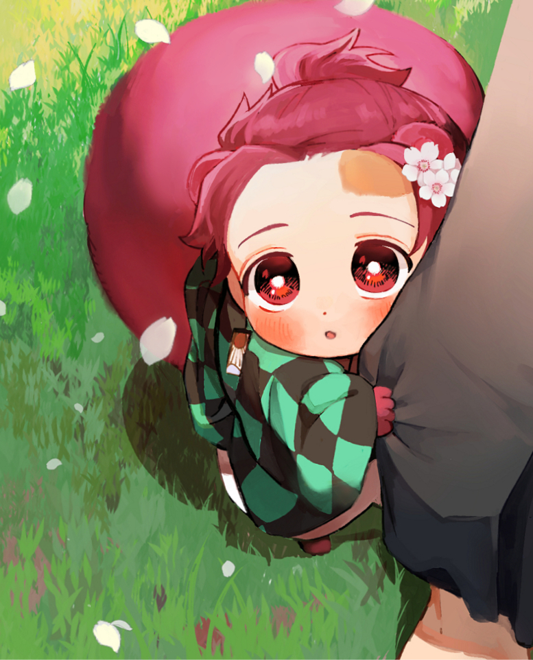 1boy :o animal_ears animal_feet animal_hands bangs blush checkered_clothes chibi clothes_grab earrings flower grass hair_flower hair_ornament haori japanese_clothes jewelry kamado_tanjirou kemonomimi_mode kimetsu_no_yaiba long_sleeves looking_at_viewer looking_up maga_(chun) male_focus out_of_frame petals pink_hair ponytail raccoon_boy raccoon_ears raccoon_tail red_eyes scar scar_on_face scar_on_forehead short_hair solo_focus standing tail white_footwear wide_sleeves