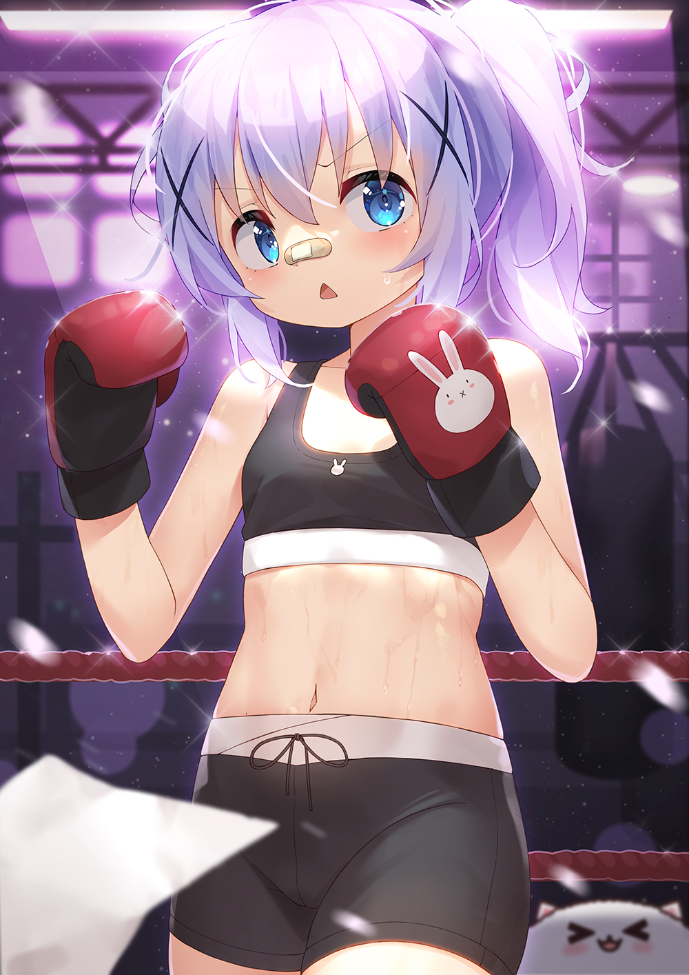1girl bandages blue_eyes blush boxing boxing_gloves bunny cat_ears gochuumon_wa_usagi_desu_ka? kafuu_chino looking_at_another navel open_mouth paper purple_background shadow short_hair solo solo_focus sports_bra sportswear stomach sweat sweating_profusely tomboy white_hair