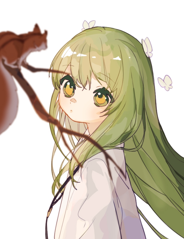 1boy androgynous animal bangs blurry branch bug butterfly butterfly_on_head character_request check_character curious depth_of_field enkidu_(fate) fate/grand_order fate_(series) floating_hair green_hair jewelry long_hair looking_afar looking_at_animal looking_at_viewer looking_to_the_side male_focus pendant robe rocco simple_background solo squirrel upper_body white_background white_robe yellow_eyes