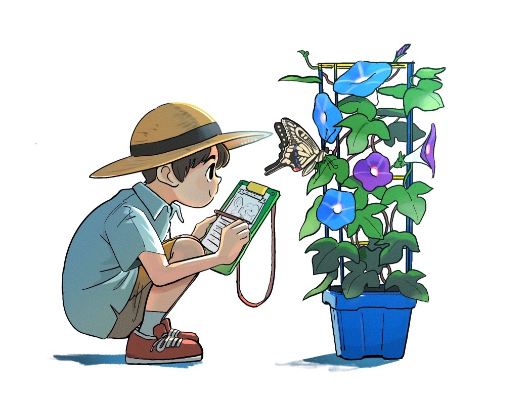 1boy blue_flower blue_shirt board brown_shorts bug butterfly child closed_mouth commentary_request drawing flower flower_pot fujiwara_yoshito hat holding holding_pen kneeling looking_at_animal male_child male_focus morning_glory notes original pen plant potted_plant profile purple_flower red_footwear science shirt shorts simple_background socks solo squatting straw_hat trellis white_background writing