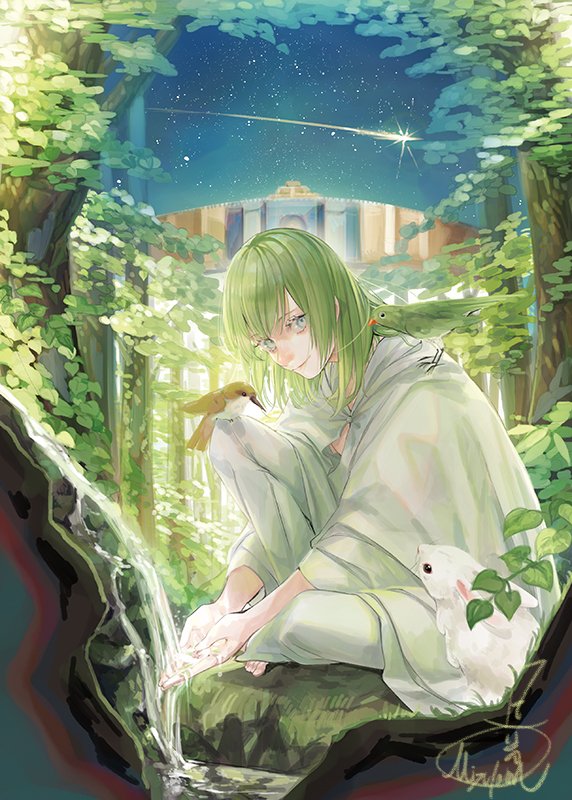1other ambiguous_gender androgynous animal animal_on_shoulder bangs bird bird_on_lap bird_on_shoulder closed_mouth commentary_request enkidu_(fate) fate/extra fate/extra_ccc fate/grand_order fate/strange_fake fate/zero fate_(series) forest full_body green_eyes green_hair light_green_hair long_hair long_sleeves looking_at_viewer mizutame_tori nature night on_ground outdoors pants rabbit robe shooting_star signature sitting sky smile solo star_(sky) toga tree very_long_hair water white_pants white_robe