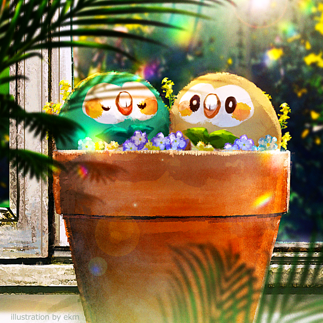 alternate_color animal_focus artist_name bird black_eyes blue_flower blurry blurry_background blurry_foreground blush blush_stickers bright_pupils closed_eyes closed_mouth commentary ekm english_text fern flower no_humans plant pokemon pokemon_(creature) potted_plant rowlet shiny_pokemon u_u upper_body watermark white_pupils window