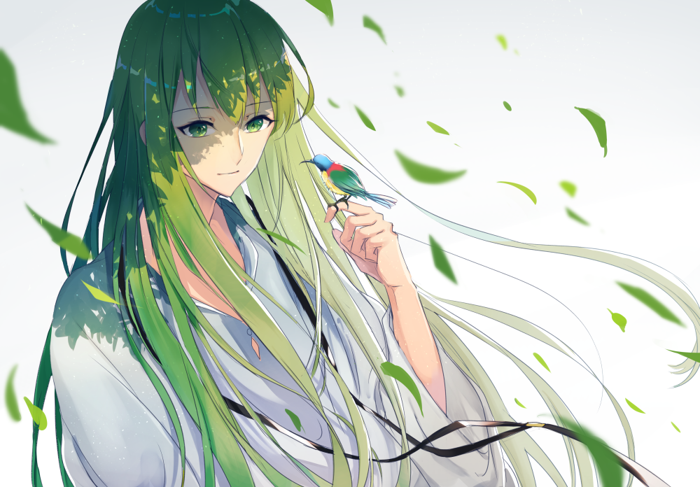 1other ambiguous_gender androgynous bangs bird bird_on_hand closed_mouth commentary_request enkidu_(fate) falling_leaves fate/extra fate/extra_ccc fate/grand_order fate/strange_fake fate/zero fate_(series) gradient gradient_background green_eyes green_hair jewelry kusaka_kou leaf light_green_hair light_smile long_hair long_sleeves male_focus robe shade shadow solo toga upper_body very_long_hair white_robe wide_sleeves