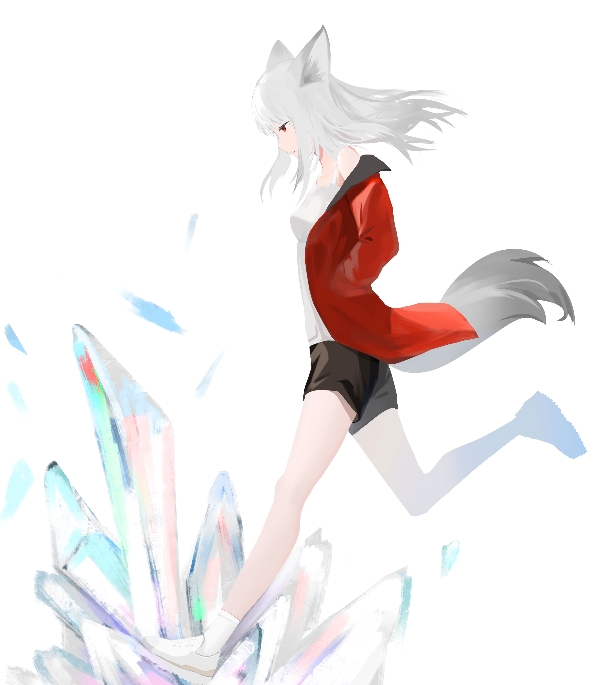 1girl animal_ears arknights bare_shoulders black_shorts breasts crystal cuo_cuo_yu_lian floating_hair fox_ears fox_girl fox_tail frostleaf_(arknights) full_body grey_hair jacket long_hair off_shoulder open_clothes open_jacket red_eyes running shirt shoes shorts simple_background small_breasts solo tail white_background white_footwear white_shirt