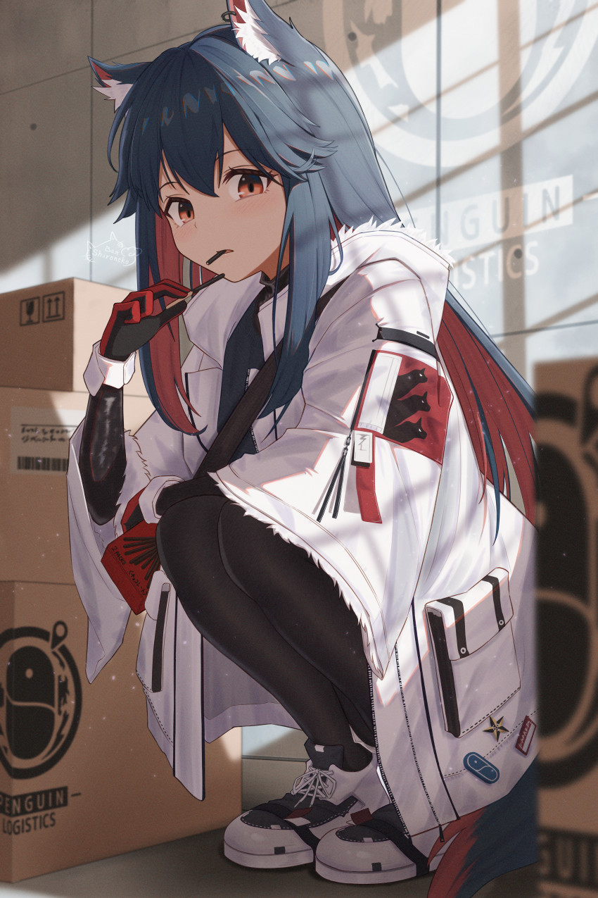 1girl animal_ear_fluff animal_ears arknights black_hair black_pantyhose box cardboard_box coat colored_inner_hair eating food fur-trimmed_hood fur-trimmed_sleeves fur_trim hair_between_eyes highres holding holding_box hood hood_down hooded_coat indoors light_blush long_hair long_sleeves looking_at_viewer mouth_hold multicolored_hair official_alternate_costume open_clothes open_coat orange_eyes pantyhose parted_lips penguin_logistics_logo pocky redhead shironekoban shoes solo squatting tail texas_(arknights) texas_(winter_messenger)_(arknights) two-tone_hair white_coat white_footwear winter_clothes winter_coat wolf_ears wolf_girl wolf_tail