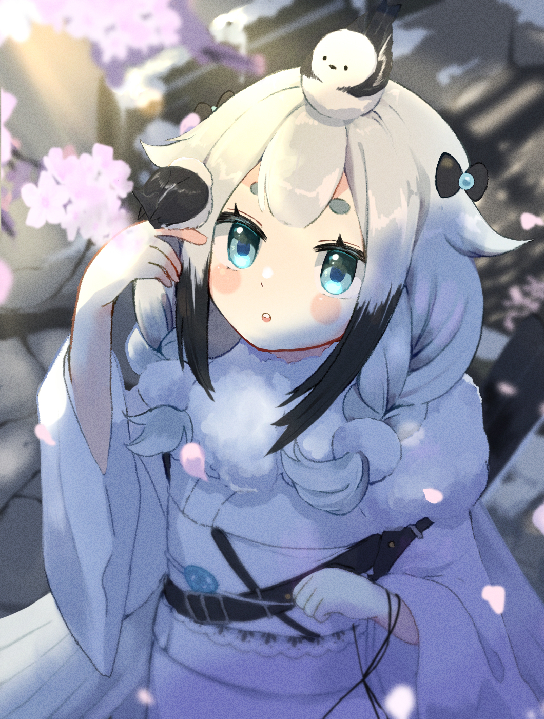 1girl :o alchemy_stars animal_on_head bangs bird bird_on_head bird_tail black_hair blue_eyes blurry blurry_background blush_stickers bow braid cherry_blossoms fur-trimmed_kimono fur_trim hair_bow hand_up highres japanese_clothes kimono long_hair long_sleeves low_wings multicolored_hair obi on_head petals sash seatail short_sleeves solo tail thick_eyebrows tweety_(alchemy_stars) twin_braids two-tone_hair upper_body white_hair white_kimono white_sleeves wings