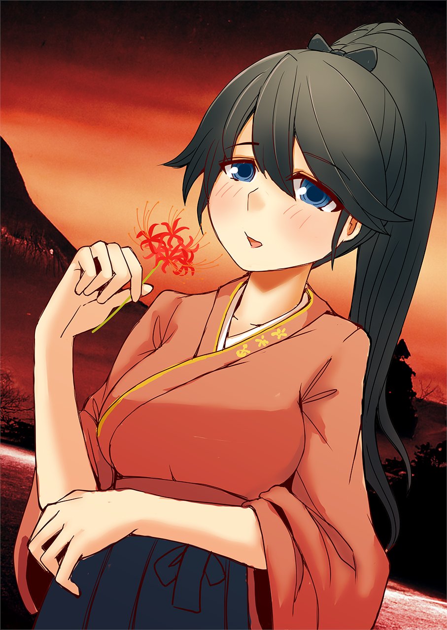 1girl black_hair black_hakama blue_eyes dusk flower hakama hakama_skirt highres houshou_(kancolle) japanese_clothes kantai_collection kimono long_hair looking_at_viewer mushi_mushi_ex one-hour_drawing_challenge pink_kimono ponytail red_sky skirt sky solo spider_lily tasuki