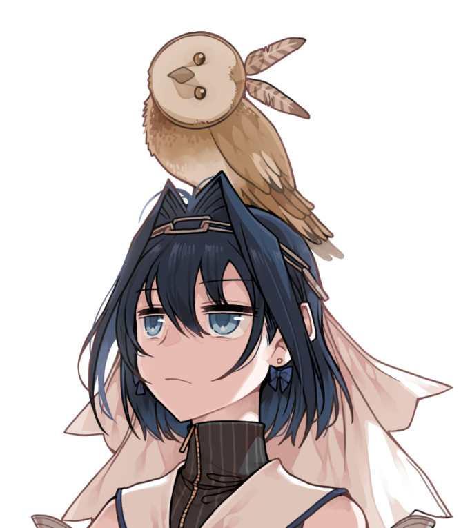 1girl animal_on_head animalization bangs bird bird_on_head blue_eyes blue_hair clipe feathers hair_intakes head_tilt hololive hololive_english nanashi_mumei nanashi_mumei_(owl) on_head ouro_kronii owl short_hair virtual_youtuber white_background