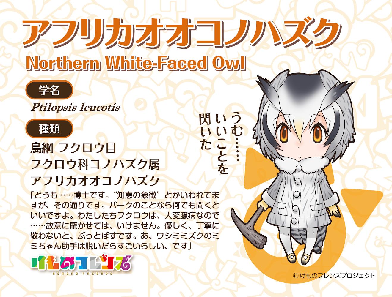 1girl animal_ears bird_ears bird_girl bird_tail bird_wings cane coat gloves grey_hair kemono_friends looking_at_viewer northern_white-faced_owl_(kemono_friends) official_art orange_eyes pantyhose shoes short_hair simple_background solo tail wings yoshizaki_mine