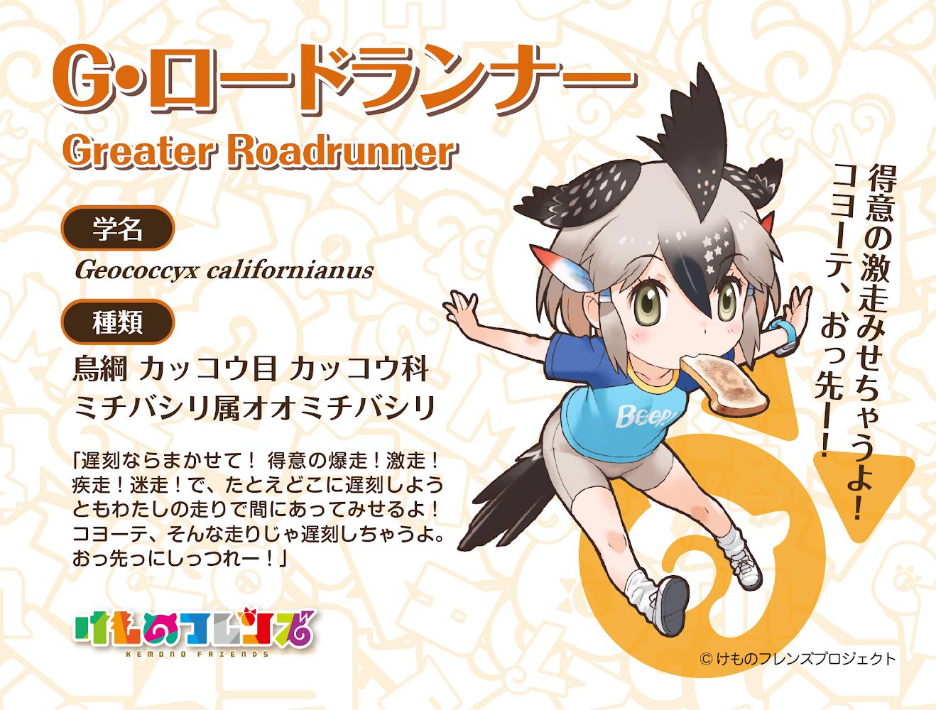1girl animal_ears bike_shorts bird_ears bird_tail bird_wings extra_ears feather_hair_ornament feathers greater_roadrunner_(kemono_friends) grey_eyes grey_hair hair_ornament kemono_friends looking_at_viewer official_art shirt shoes short_hair simple_background socks solo tail watch wings yoshizaki_mine