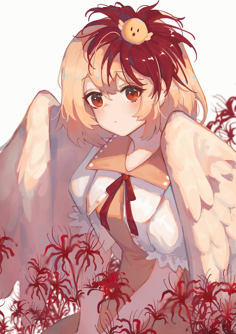 1girl animal animal_on_head bird bird_on_head bird_wings blonde_hair blush chick closed_mouth dress feathered_wings flower hair_between_eyes huangyou multicolored_hair niwatari_kutaka on_head orange_dress red_eyes red_flower redhead shirt short_hair short_sleeves simple_background solo spider_lily touhou two-tone_hair white_background white_shirt wings yellow_wings