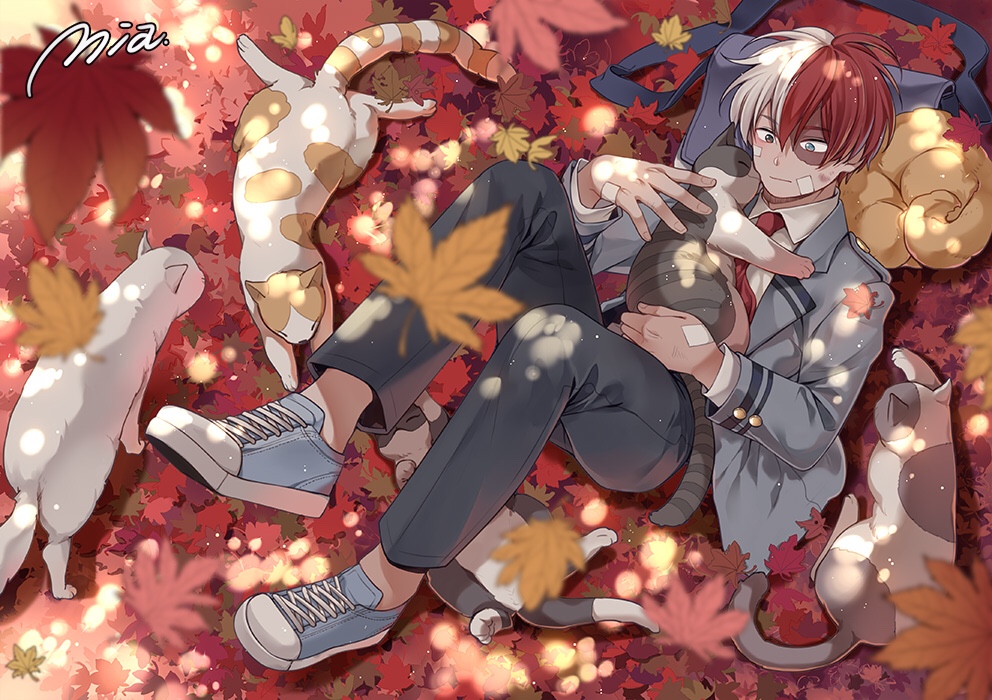 1boy animal animal_on_chest artist_name autumn autumn_leaves bag bag_removed bangs black_pants blazer blue_eyes blurry blurry_foreground blush boku_no_hero_academia burn_scar buttons cat closed_eyes closed_mouth collared_shirt cross-laced_footwear curled_up dappled_sunlight double_horizontal_stripe falling_leaves from_above full_body gauze grey_cat grey_eyes hair_between_eyes hands_up heterochromia jacket knees_up leaf long_sleeves looking_at_animal lying male_focus maple_leaf mia0309 multicolored_hair necktie nuzzle on_back on_stomach open_clothes open_jacket orange_cat pants parted_hair red_necktie redhead satchel scar scar_on_face school_uniform scratches shade shirt short_hair shoulder_bag signature solo split-color_hair straight_hair sunlight surprised todoroki_shouto toes_up too_many too_many_cats two-tone_hair u.a._school_uniform white_hair white_shirt wing_collar yellow_leaves