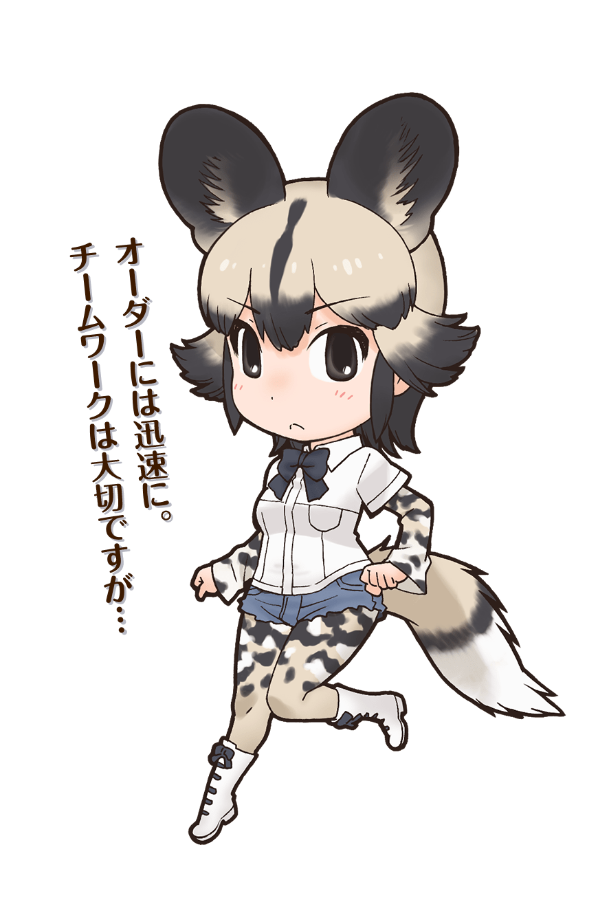 1girl african_wild_dog_(kemono_friends) animal_ears black_eyes boots bow bowtie closed_mouth dog_ears dog_girl dog_tail extra_ears grey_hair highres kemono_friends looking_at_viewer official_art pantyhose shirt short_hair shorts solo tail transparent_background yoshizaki_mine