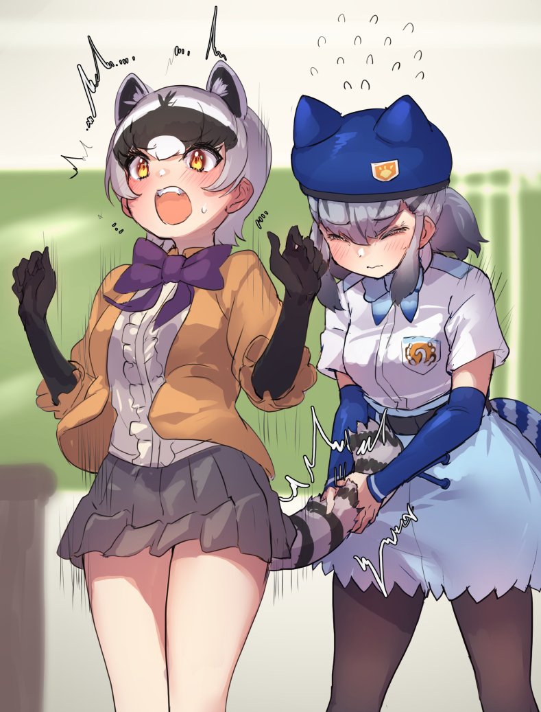 2girls animal_ears beret black_gloves black_pantyhose blue_bow blue_bowtie blue_headwear blue_skirt blue_sleeves blush bow bowtie center_frills commentary_request cowboy_shot crab-eating_raccoon_(kemono_friends) detached_sleeves elbow_gloves extra_ears frilled_skirt frills gloves grey_hair grey_skirt hat high-waist_skirt hikari_(kemono_friends) jacket japari_symbol kemono_friends kemono_friends_3 long_sleeves multicolored_hair multiple_girls open_clothes open_jacket open_mouth orange_eyes orange_jacket pantyhose pleated_skirt puffy_sleeves purple_bow purple_bowtie raccoon_ears raccoon_girl raccoon_tail safari_jacket shirt short_hair short_sleeves skirt sweatdrop t-shirt tadano_magu tail tail_grab two-tone_hair white_shirt