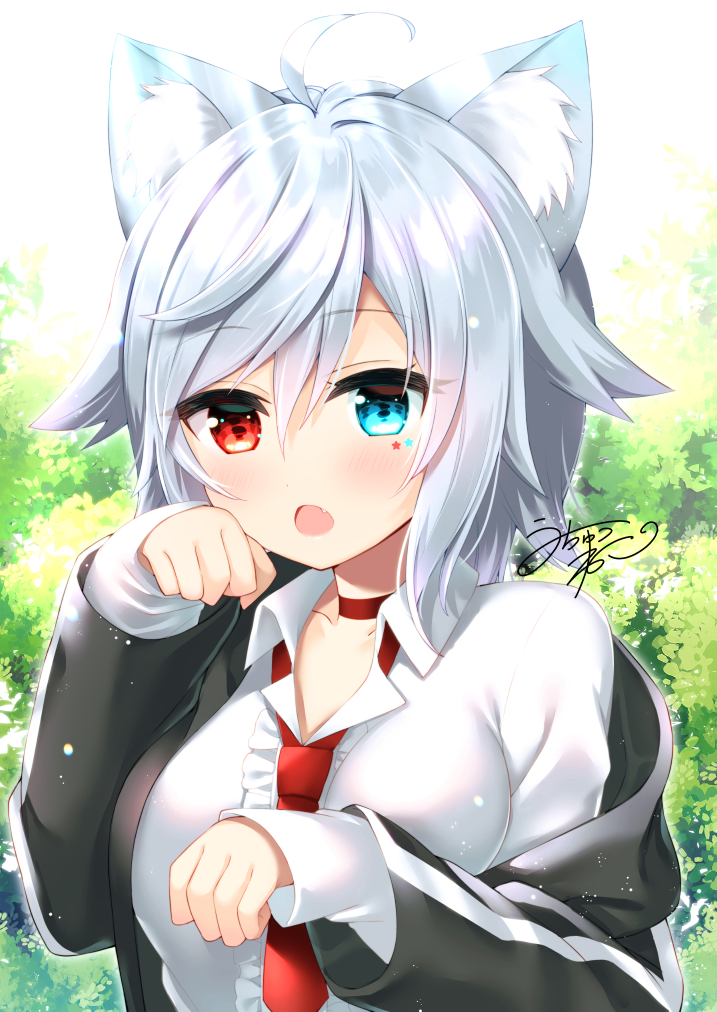 1girl :o ahoge animal_ear_fluff animal_ears backlighting bangs black_jacket blue_eyes breasts cat_ears center_frills choker collarbone collared_shirt commentary_request commission day fang frills grey_hair hair_between_eyes heterochromia hood hood_down hooded_jacket jacket long_sleeves looking_at_viewer medium_breasts necktie open_clothes open_jacket open_mouth original outdoors red_choker red_eyes red_necktie shirt signature skeb_commission sleeves_past_wrists solo uchuuneko upper_body white_shirt