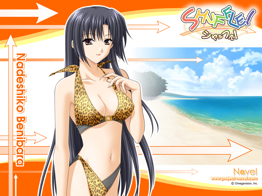 benibara_nadeshiko bikini black_hair long_hair shuffle shuffle! suzuhira_hiro swimsuit teacher wallpaper