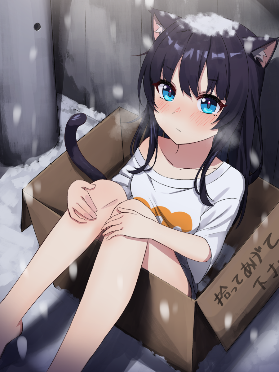 1girl animal_ear_fluff animal_ears araman bare_legs black_hair blue_eyes blush box cardboard_box cat_ears cat_girl cat_tail highres in_box in_container long_hair no_pants off_shoulder original shirt sitting snow snowing tail white_shirt