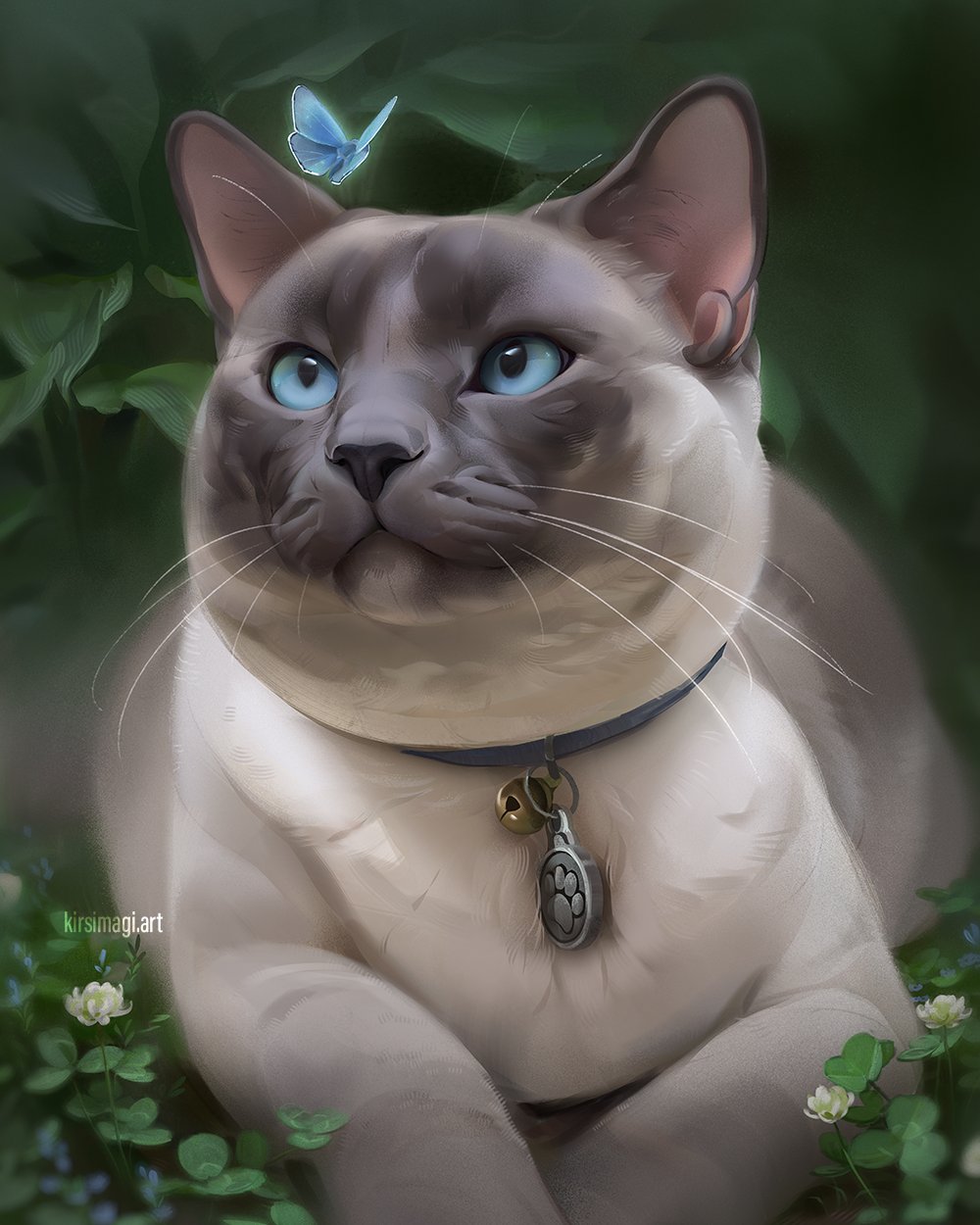 animal animal_focus blue_butterfly bug butterfly cat collar flower grass highres no_humans original outdoors realistic shrimpuart watermark web_address white_flower