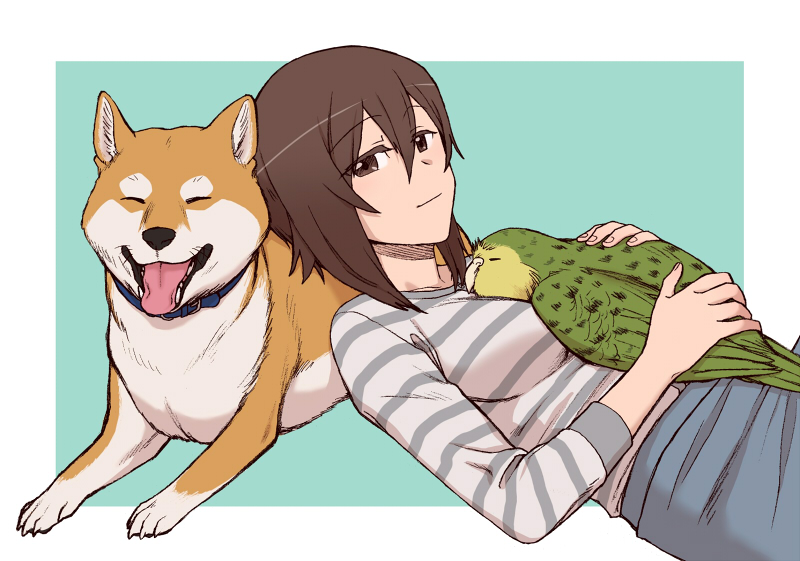 1girl bird breasts brown_eyes brown_hair closed_mouth dog girls_und_panzer large_breasts looking_at_viewer nishizumi_maho parrot shiba_inu short_hair simple_background smile striped striped_sweater sweater torinone