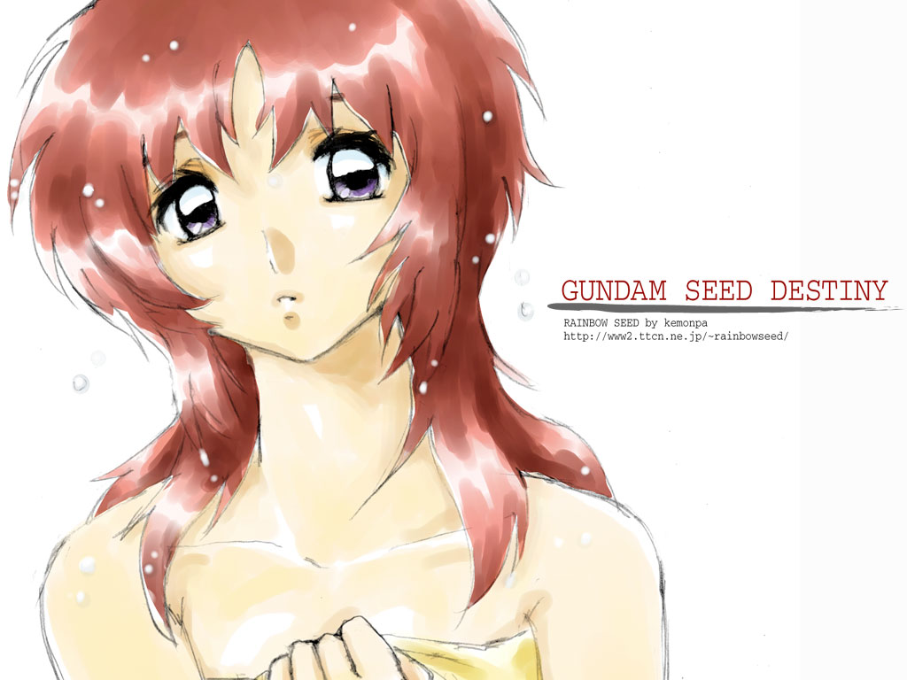 gundam gundam_seed gundam_seed_destiny meyrin_hawke towel wallpaper