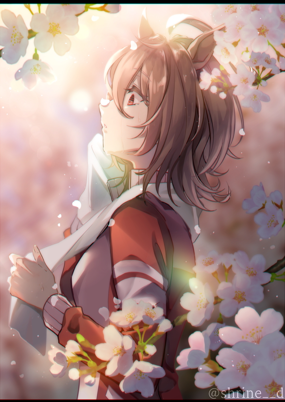 1girl agnes_tachyon_(umamusume) ahoge animal_ears blurry blurry_background branch breasts brown_hair cherry_blossoms from_side highres holding holding_towel horse_ears horse_girl jacket letterboxed long_sleeves medium_hair parted_lips petals red_jacket shirin_(tsukimiyagura) sideways_mouth small_breasts solo sweat towel towel_around_neck tracen_training_uniform track_jacket twitter_username umamusume watermark wiping_sweat