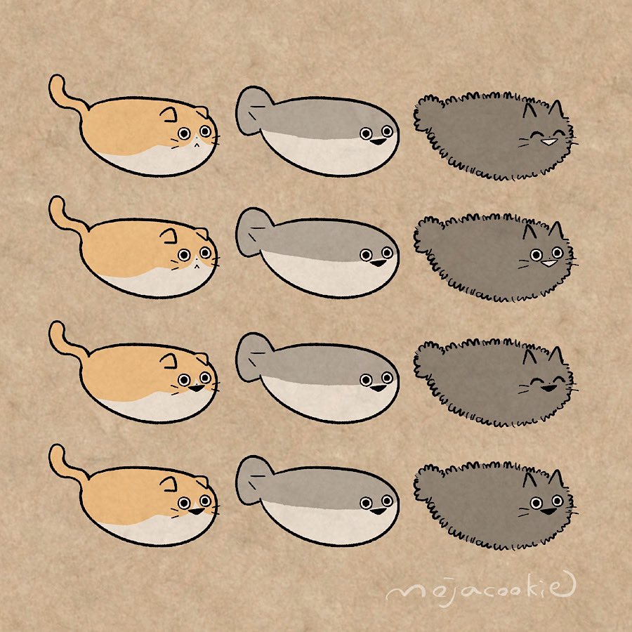 animal_focus artist_name brown_background cat closed_eyes expressions fish fluffy mojacookie multiple_views no_humans open_mouth original sacabambaspis scottish_fold simple_background triangle_mouth whiskers