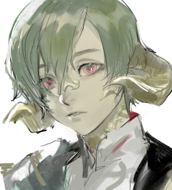 1boy au_ra dragon_horns final_fantasy final_fantasy_xiv frischenq green_hair hair_between_eyes horns looking_at_viewer male_focus parted_lips portrait red_eyes short_hair simple_background solo varshahn white_background