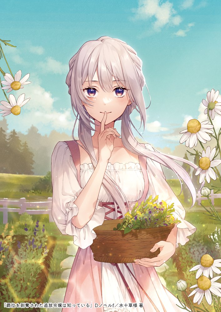 1girl basket chamomile closed_mouth clouds cobblestone cover cover_page cowboy_shot cross-laced_clothes day double-parted_bangs dress finger_to_mouth flower garden grass grey_hair hair_between_eyes herb holding holding_basket index_finger_raised jacket light_particles long_hair looking_at_viewer low_twintails masami_(souzou_jinsei_sanka) novel_cover official_art open_clothes open_jacket outdoors pink_jacket shakui_o_hakudatsu_sa_reta_tsuihou_reijou_wa_shitte_iru sleeveless sleeveless_jacket sleeves_past_elbows smile solo standing straight-on tree twintails violet_eyes white_dress white_flower wind