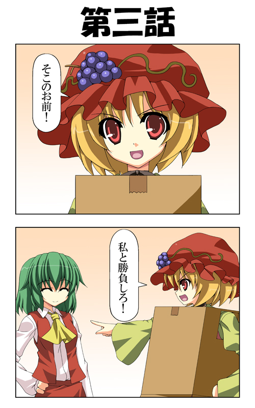 ascot blonde_hair cardboard_box_gundam closed_eyes food food_as_clothes fruit grapes green_hair hat kazami_yuuka rapattu red_eyes skirt skirt_set smile touhou translated translation_request vest