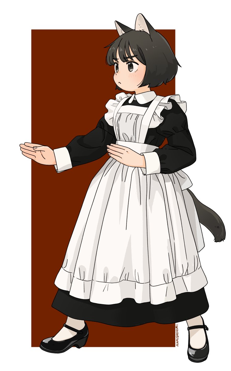 &gt;:( 1girl :&lt; akai_sashimi animal_ears apron black_dress black_footwear blunt_bangs bob_cut breasts brown_eyes brown_hair cat_ears cat_girl cat_tail collar colored_inner_animal_ears dress fighting_stance frilled_apron frills full_body highres long_dress long_sleeves looking_to_the_side maid maid_apron mary_janes original puffy_long_sleeves puffy_sleeves red_background shoes short_hair simple_background small_breasts socks standing tail v-shaped_eyebrows white_background white_collar white_socks