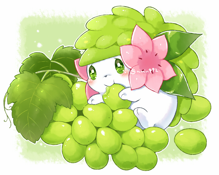 :t aimi_(aimia492) artist_name blush border closed_mouth commentary_request eating flower food fruit full_body grapes green_background green_eyes leaf looking_at_viewer no_humans outside_border pink_flower pokemon pokemon_(creature) shaymin shaymin_(land) simple_background smile solo twitter_username white_border