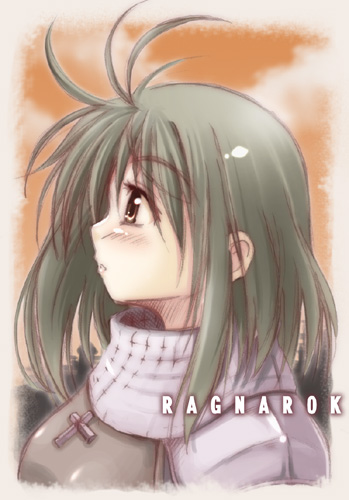 1girl :o antenna_hair archived_source clouds copyright_name cross from_side green_hair knight_(ragnarok_online) lowres medium_hair open_mouth orange_sky portrait ragnarok_online sky solo toujou_akira twilight upper_body yellow_eyes