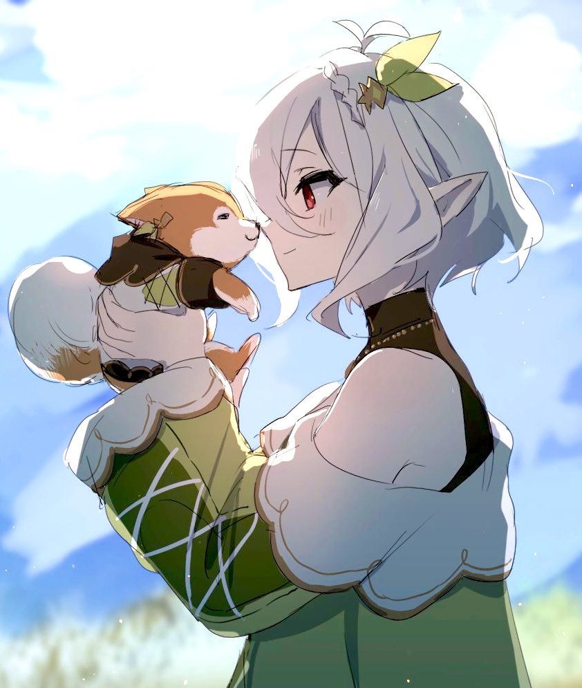 1girl animal blush closed_mouth dog dress from_side green_dress hair_ornament holding holding_animal jewelry kokkoro_(princess_connect!) long_sleeves necklace noses_touching off_shoulder official_alternate_costume pointy_ears princess_connect! red_eyes short_hair sidelocks sky turtleneck white_hair