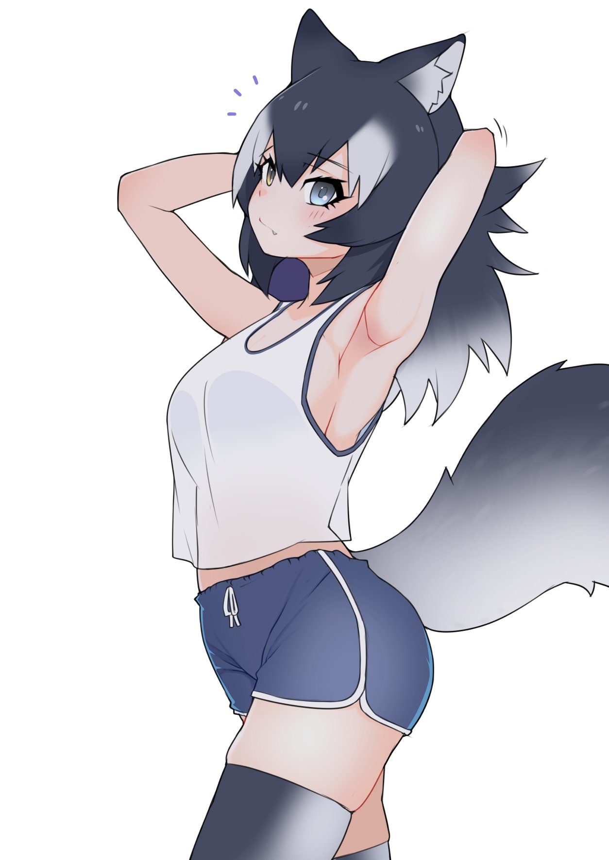 1girl alternate_costume animal_ears arms_behind_head arms_up bare_arms bare_shoulders blue_eyes blue_shorts blush dolphin_shorts fang gradient_legwear grey_hair grey_thighhighs grey_wolf_(kemono_friends) hair_between_eyes heterochromia highres illu_(illu_stratos) kemono_friends long_hair looking_at_viewer midriff_peek multicolored_hair short_shorts shorts sidelocks solo tail tank_top thigh-highs white_hair white_thighhighs wolf_ears wolf_girl wolf_tail yellow_eyes