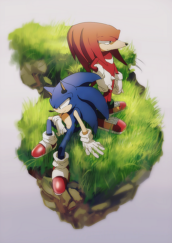 2boys animal_ears aoki_(fumomo) arm_at_side blue_fur blue_hair body_fur closed_mouth commentary_request from_side full_body furry furry_male gloves grass green_eyes hand_on_own_hip happy knee_up knuckles_the_echidna long_hair looking_to_the_side male_focus multiple_boys on_ground outdoors partial_commentary profile red_footwear red_fur redhead shoes sidelocks sideways_mouth sitting smile snout socks sonic_(series) sonic_the_hedgehog spiked_gloves spiky_hair standing tail two-tone_fur violet_eyes white_fur white_gloves white_socks