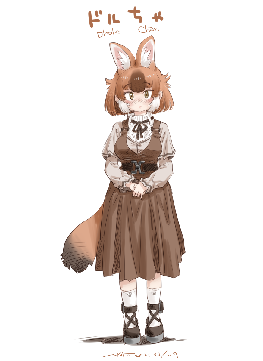 1girl animal_ears blush bow bowtie breasts brown_dress brown_eyes brown_hair dhole_(kemono_friends) dog_ears dog_girl dog_tail dress full_body highres kemono_friends kemono_friends_3 large_breasts looking_at_viewer medium_dress multicolored_hair nyororiso_(muyaa) short_hair simple_background socks solo standing tail two-tone_hair white_background white_hair white_socks