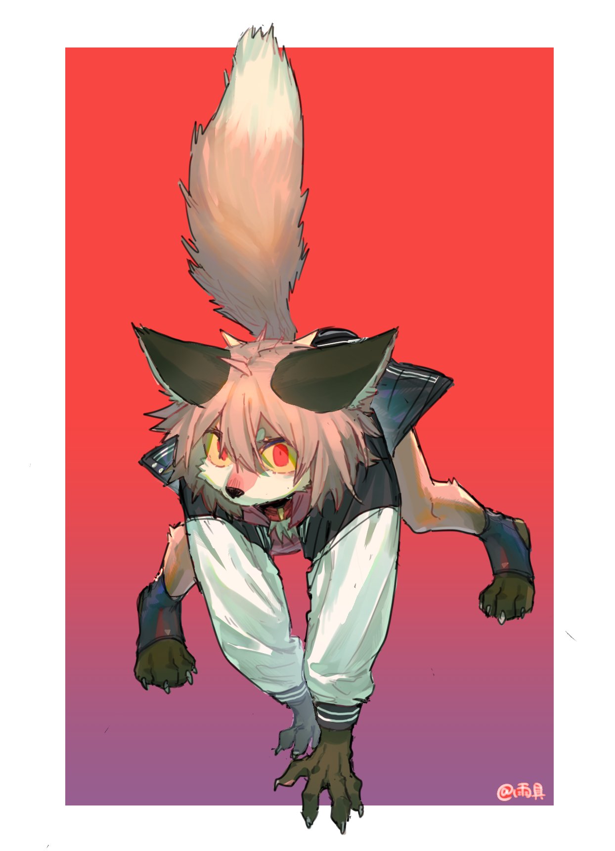1girl ahoge all_fours animal_ears animal_nose black_skirt body_fur border brown_fur brown_hair claws colored_sclera constricted_pupils digitigrade fewer_digits fox_ears fox_girl fox_tail from_above full_body furry furry_female gradient_background hair_between_eyes highres hikimayu jacket legs_apart long_sleeves looking_at_viewer original outside_border rainggrade red_background red_eyes short_hair signature simple_background skirt solo tail tail_raised toeless_legwear white_border white_jacket wide-eyed yellow_sclera