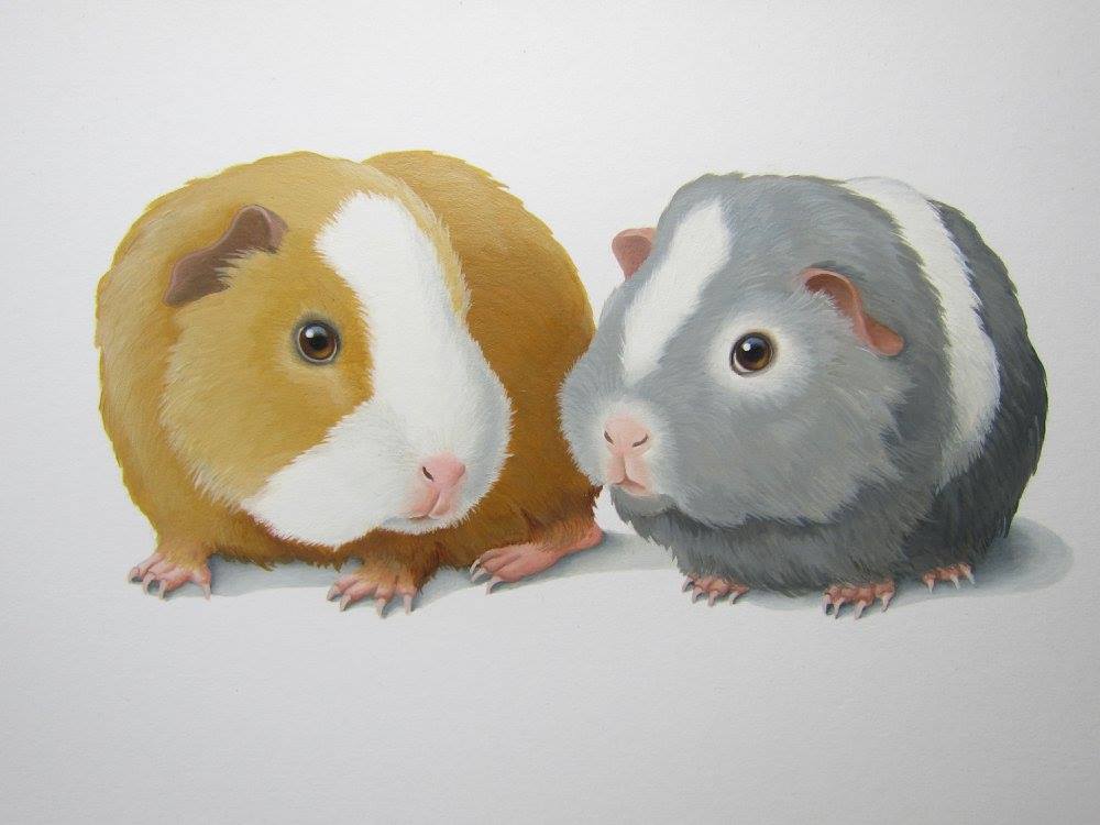 animal_focus commentary_request dutch_commentary hamster no_humans original painting_(medium) realistic simple_background suzan_visser traditional_media white_background