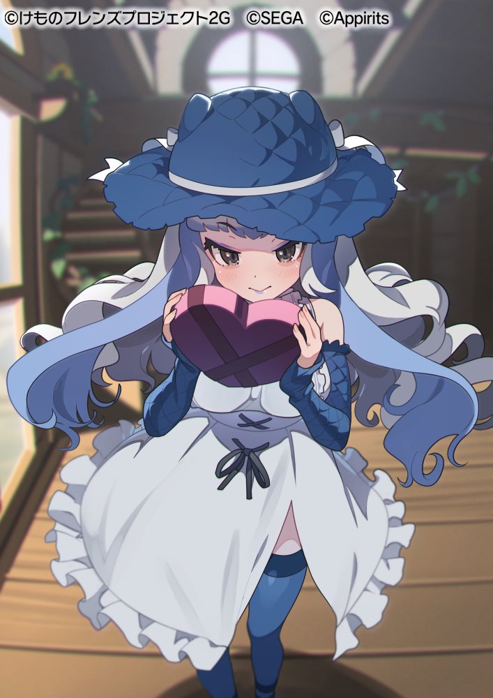 :&gt; bare_shoulders blue_hair blue_headwear blue_lips blue_sleeves blue_thighhighs blush box detached_sleeves dress frilled_dress frilled_sleeves frills hat heart-shaped_box kemono_friends kemono_friends_3 komodo_dragon_(kemono_friends) lizard_tail long_hair looking_at_viewer nishiki_kazue official_alternate_costume official_art reptile_girl scales sleeveless sleeves_past_wrists smile sun_hat tail thigh-highs valentine white_dress white_hair zettai_ryouiki
