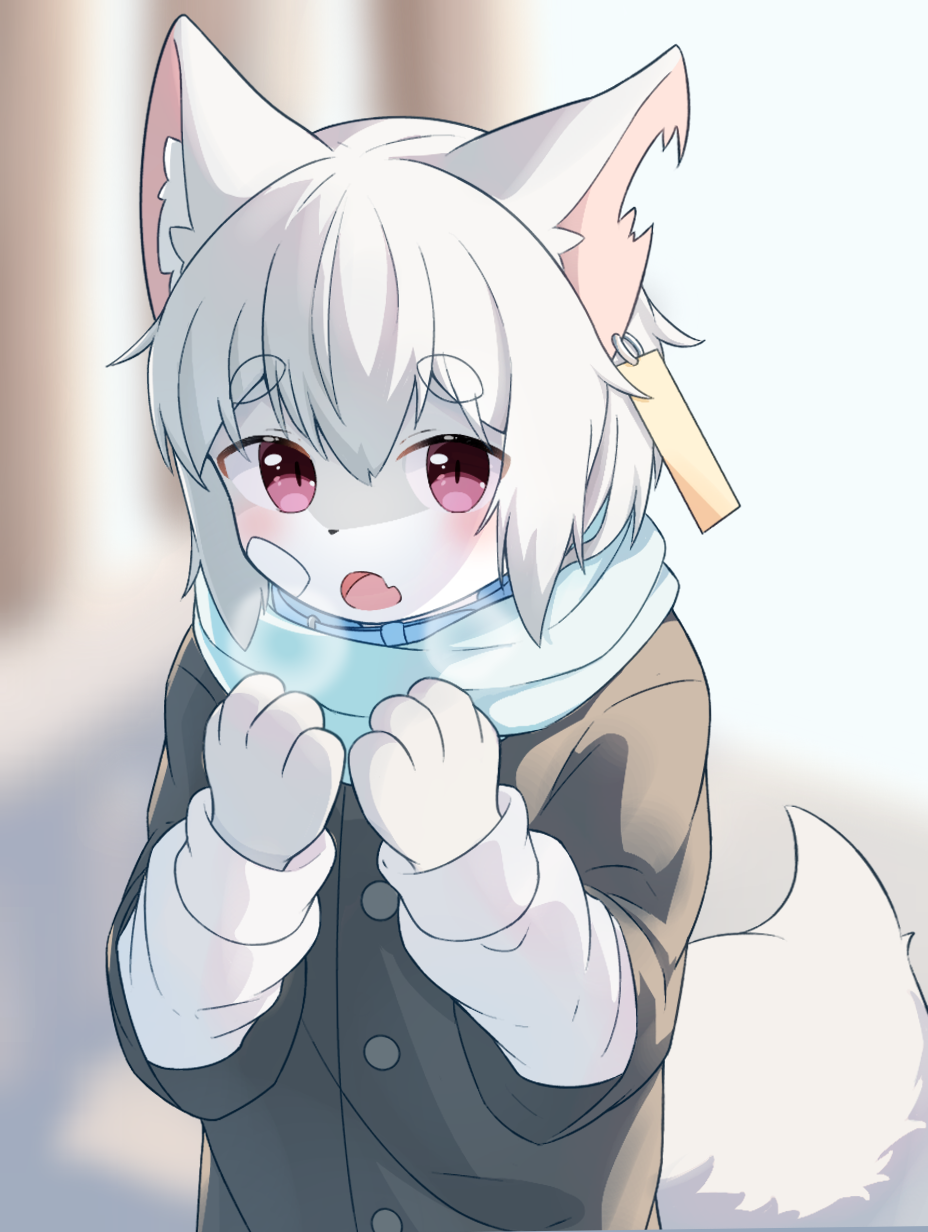 1boy animal_ears animal_hands bandaid bandaid_on_cheek bandaid_on_face blurry blurry_background blush breath breathing_on_hands buttons coat cold ear_tag fang furry furry_male grey_hair hetakitsune highres male_focus notched_ear open_mouth original otoko_no_ko skin_fang solo tail violet_eyes wolf_boy wolf_ears wolf_tail