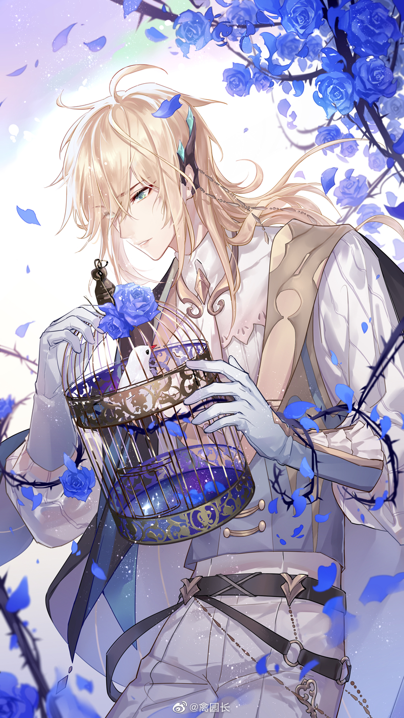 1boy alkaid_mcgrath ascot belt belt_chain bird birdcage black_belt black_cape blonde_hair blue_flower blue_rose cage cape collared_shirt cowboy_shot dove ear_covers eyes_visible_through_hair falling_petals flower frilled_gloves frills gloves green_eyes grey_gloves grey_vest hair_over_one_eye highres holding holding_cage key lapels long_sleeves looking_at_animal lovebrush_chronicles male_focus medium_hair official_art parted_lips petals plant puffy_long_sleeves puffy_sleeves qinnye rose shawl_lapels shirt side_cape single_ear_cover solo standing thorns vest vines weibo_logo weibo_username white_ascot white_background white_shirt