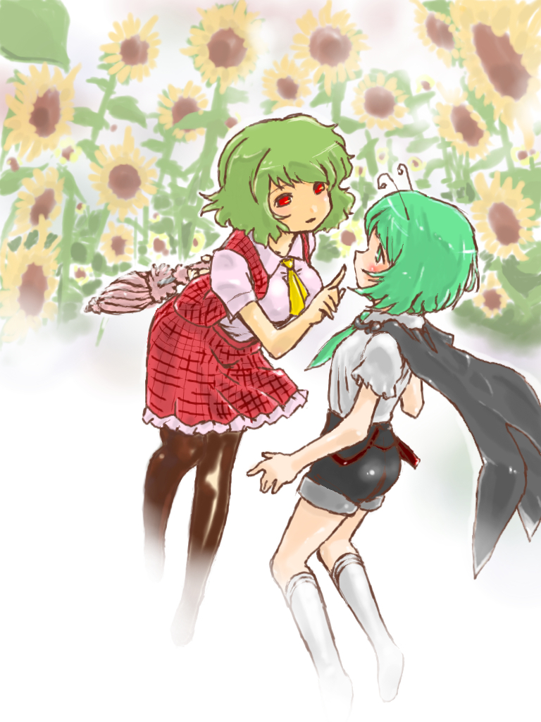 antennae ascot blush cape closed_umbrella eye_contact flower goton_goton green_eyes green_hair kazami_yuuka leaning_forward multiple_girls necktie no_shoes pantyhose plaid plaid_skirt plaid_vest pointing red_eyes short_hair shorts skirt skirt_set sunflower tartan touhou umbrella wriggle_nightbug yuri