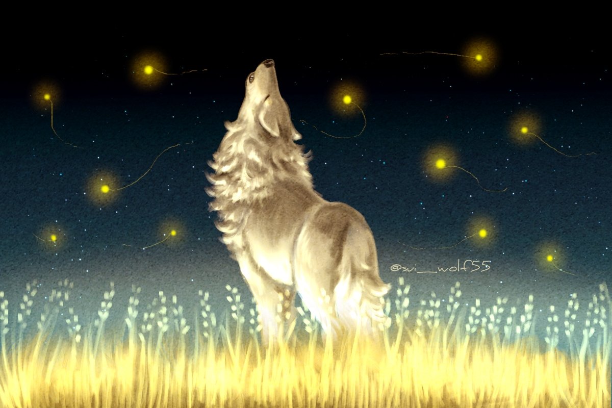 animal animal_focus closed_eyes facing_up field fireflies from_behind howling light_trail nature night night_sky no_humans open_mouth original outdoors sensui_(sui_wolf55) sky solo standing star_(sky) traditional_media twitter_username wheat_field wolf