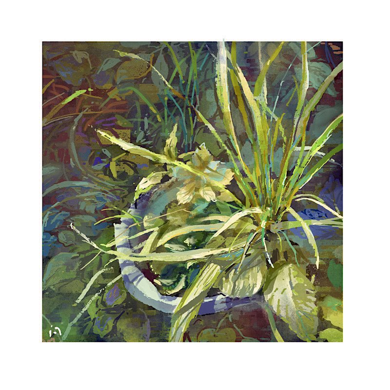 leaf mimoth nature no_humans original painting_(medium) plant potted_plant realistic shadow still_life sunlight traditional_media weeds
