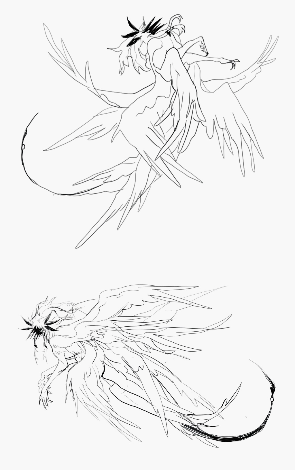 animal_focus creature flying greyscale highres kamikiririp monochrome no_humans original sketch solo wings