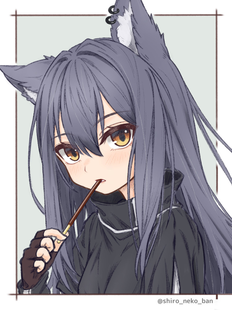 1girl animal_ear_fluff animal_ears arknights black_capelet black_gloves black_hair brown_eyes capelet commentary_request cropped_torso fingerless_gloves food food_in_mouth gloves grey_background hair_between_eyes holding holding_food long_hair long_sleeves looking_at_viewer parted_lips pocky shironekoban solo texas_(arknights) twitter_username two-tone_background upper_body white_background