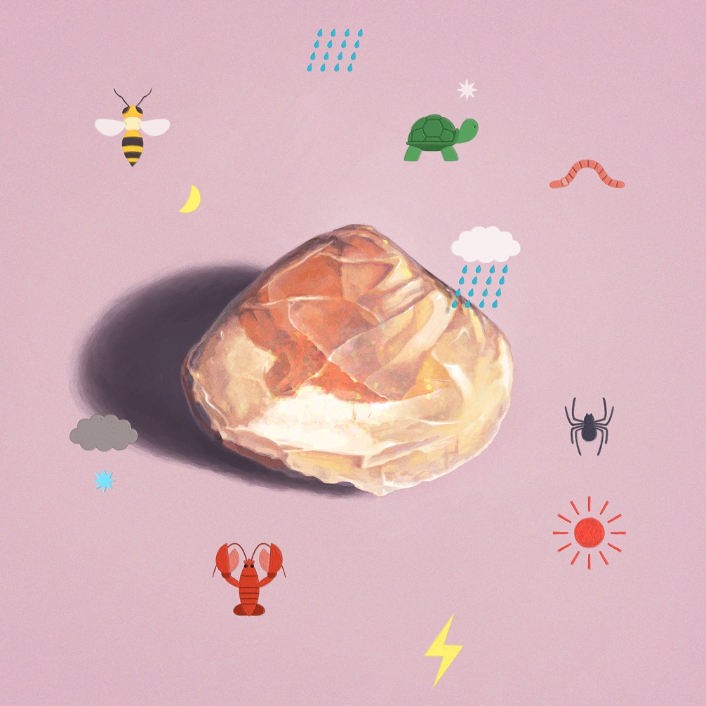 bee bug clouds commentary crescent english_commentary gelande lightning_bolt_symbol lobster mixed-language_commentary no_humans object_focus opal_(gemstone) original pink_background rain shadow simple_background simple_bird spider sun_symbol turtle worm