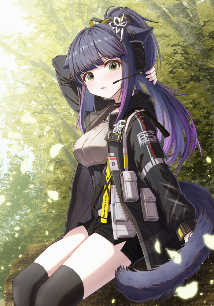 1girl ammunition_belt ammunition_pouch animal_ears arknights arm_behind_head artist_name belt black_choker black_jacket black_shorts black_thighhighs blunt_bangs blush breasts bush cat_ears cat_girl cat_tail choker commentary_request day from_side green_eyes grey_shirt gun hair_flaps hair_ornament hair_ribbon hands_up head_tilt headset holding holding_own_hair holding_own_tail holstered hood hood_down hooded_jacket jacket jessica_(arknights) jessica_the_liberated_(arknights) large_breasts legs_together long_hair long_sleeves looking_at_viewer multicolored_hair on_tree open_clothes open_jacket open_mouth outdoors parted_bangs parted_lips ponytail pouch purple_hair ribbon shironekoban shirt short_shorts shorts sidelocks sitting sky solo straight_hair streaked_hair tail thigh-highs tree twitter_username vegetation weapon